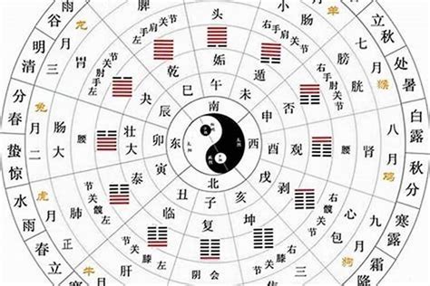 何謂十天干|天干地支（中国古代天文历法）